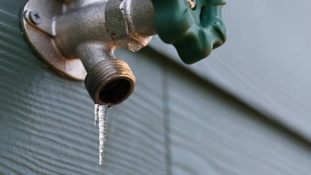Best Plumbing Inspection Services  in Olivet, TN